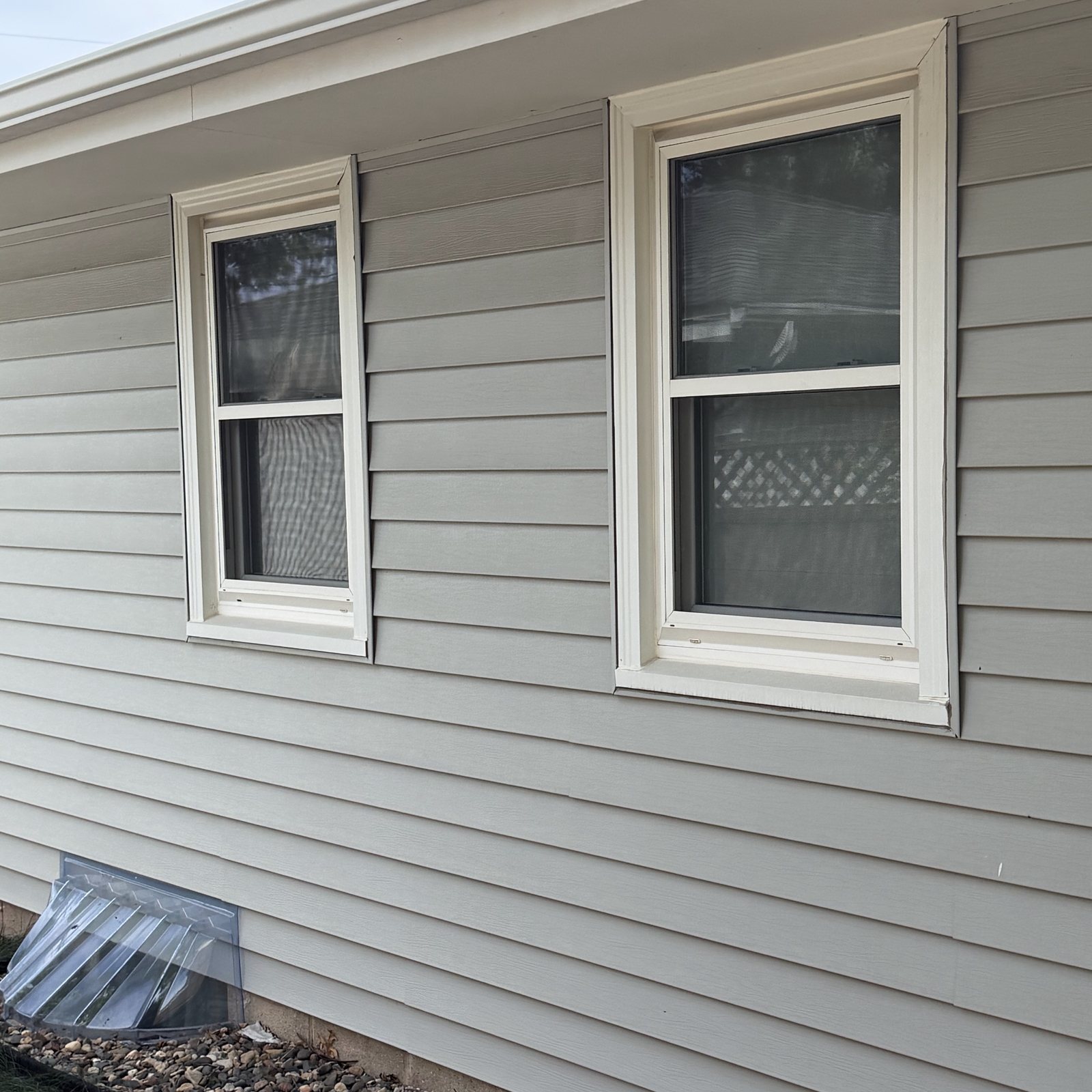 Two white Windows set in gray lap Siding