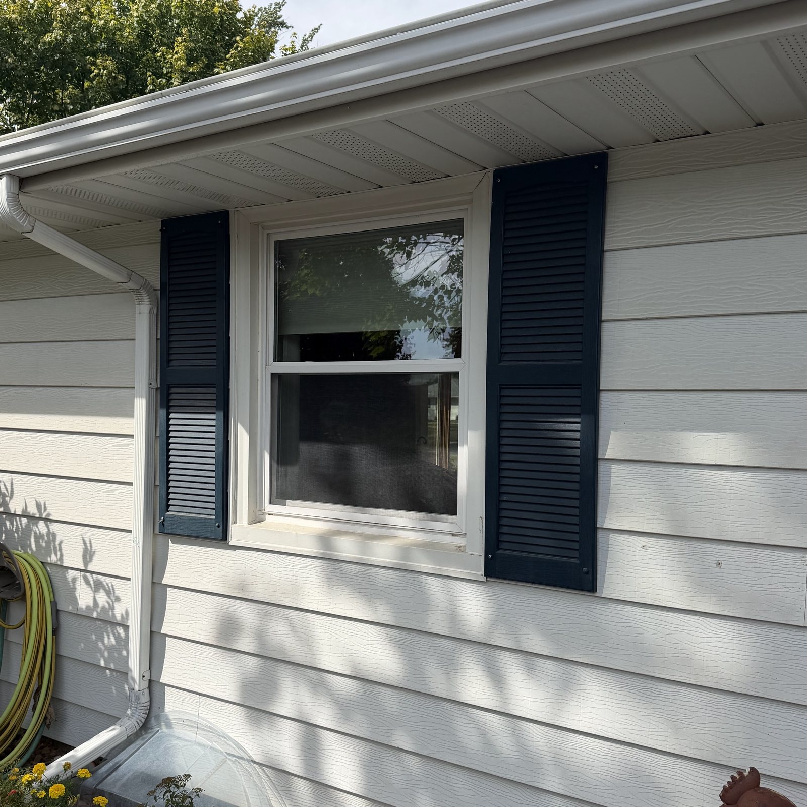 Black shutters framing a window in light lap Siding